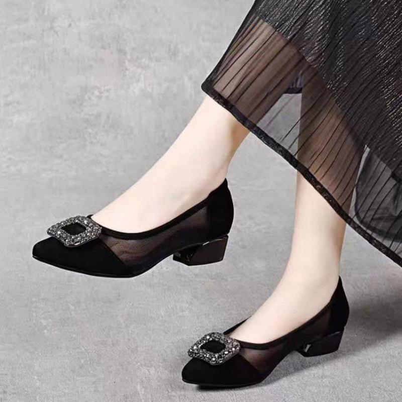 Women'S Fashion Shoes - Zarif Sivri Burunlu Fileli Blok Topuklu